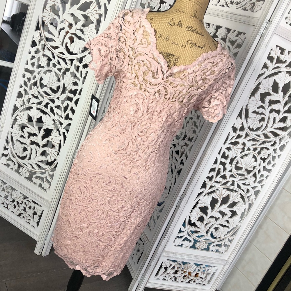Marina lace blush dress 10 - Picture 3 of 3